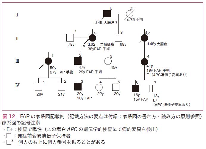 図12　FAPの家系図記載例（記載方法の要点は付録：家系図の書き方・読み方の原則参照）