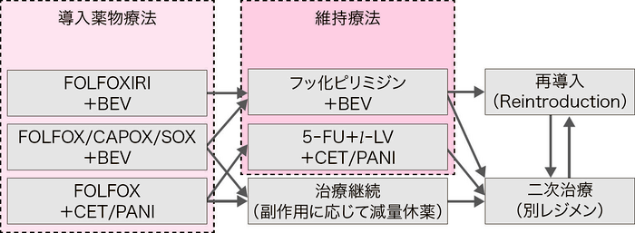 導入薬物療法の治療戦略