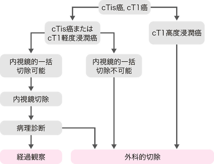 図1　cTis癌またはcT1癌の治療方針