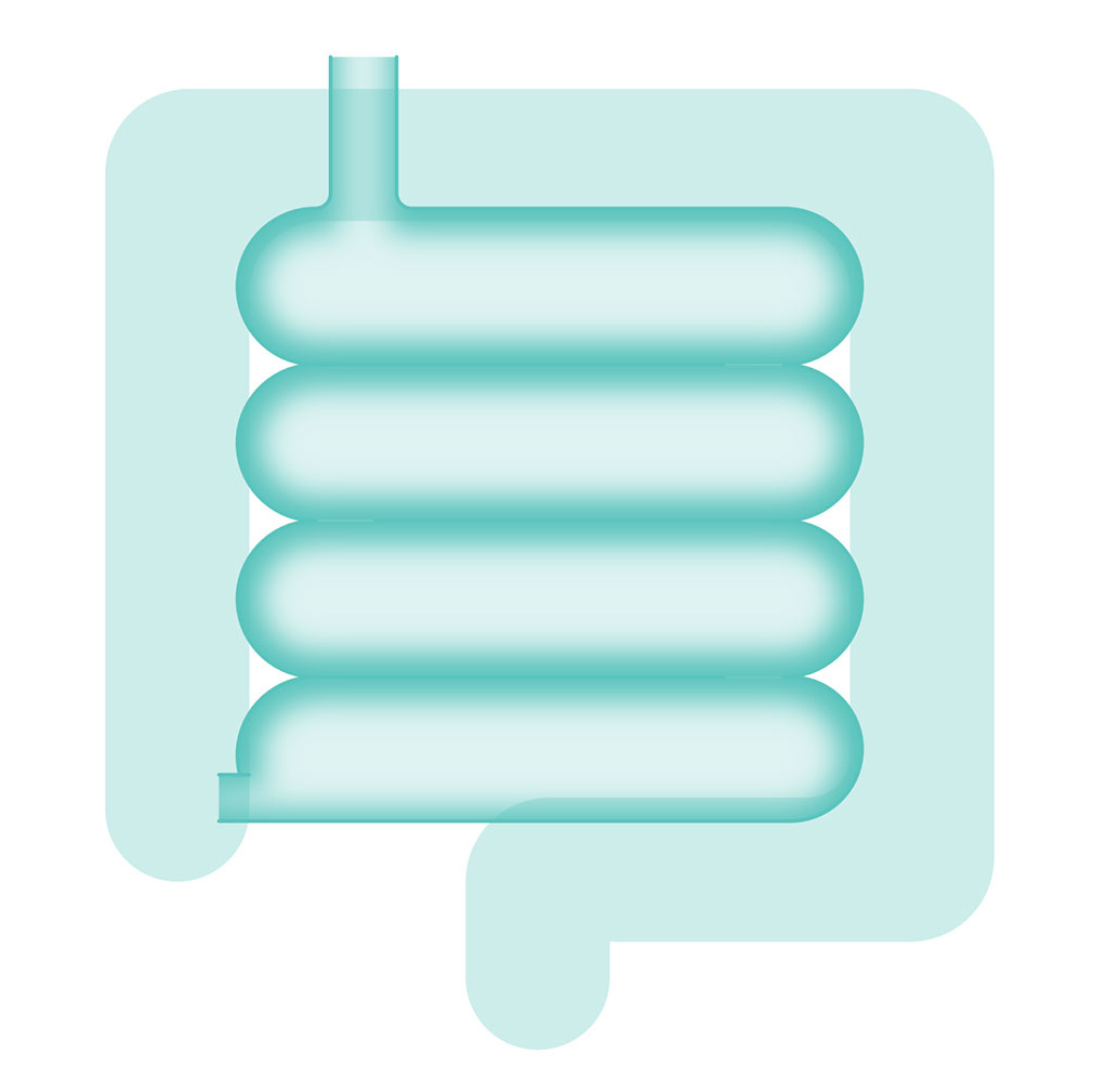 icon of Japanese Classification of Small Intestinal (Jejunal and Ileal) Carcinoma